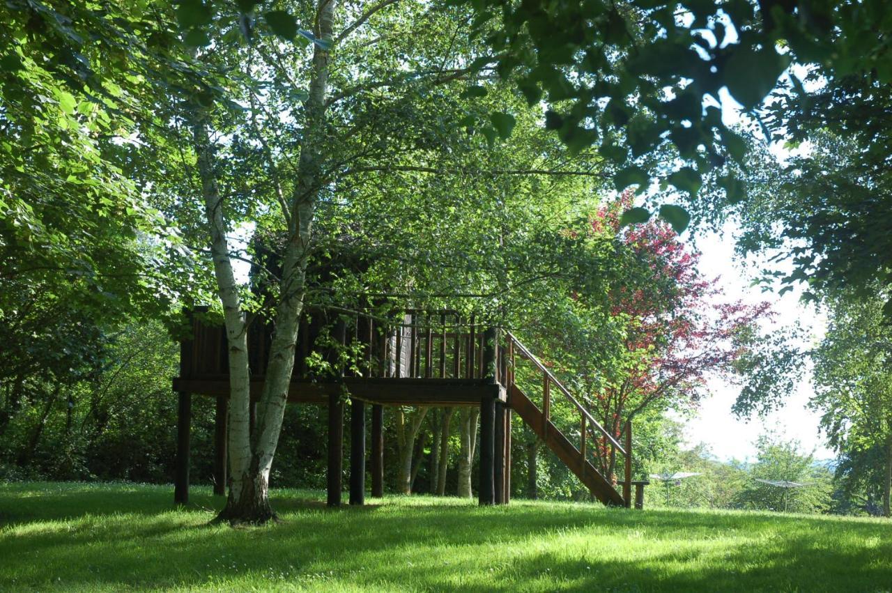 Le Logis Du Pressoir Self Catering Gites In Beautiful 18Th Century Estate In The Heart Of The Loire Valley With Heated Pool And Extensive Grounds. Les Bois-d'Anjou 外观 照片